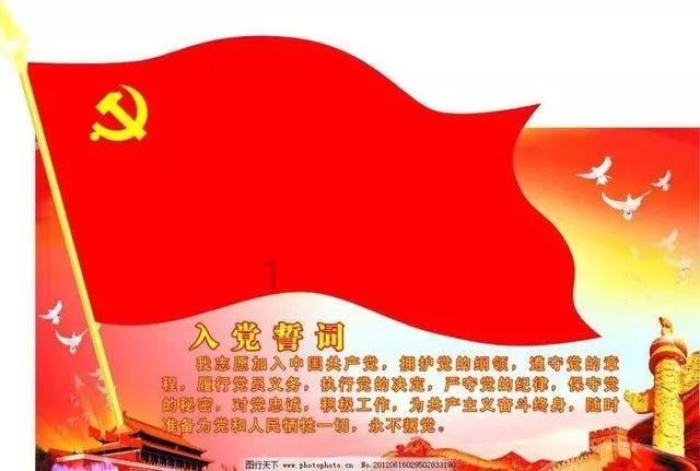 小猪佩奇饲养员